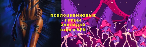 прущие крисы Медвежьегорск