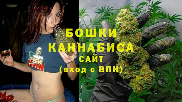 гидра Дмитриев